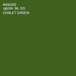 #406020 - Chalet Green Color Image